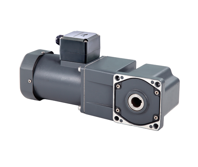 AC standard motor+right angle solid gear box