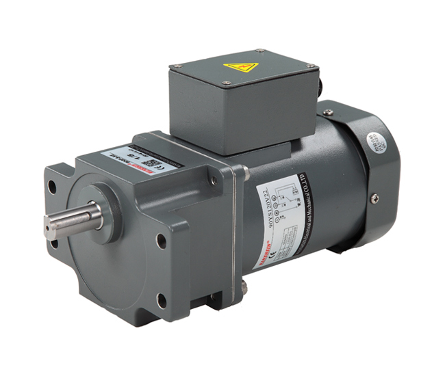 AC standard motor+eared gear box